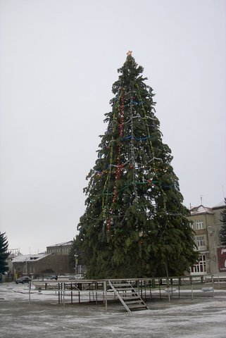 Just Before Catholic Christmas